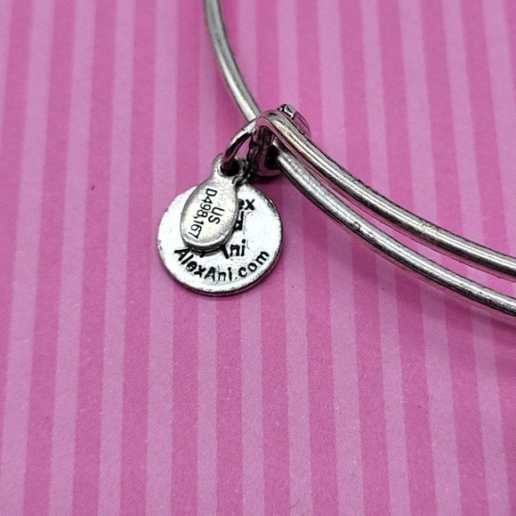 Alex and Ani Energy Gift Box Charm Bracelet Silver Tone Wire Charity By Design - Picture 4 of 9